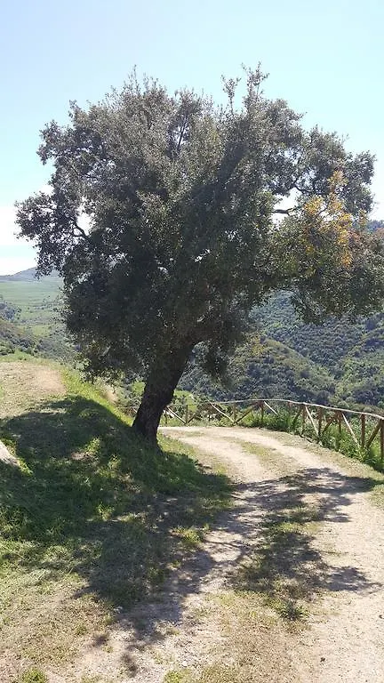 فيلا Mama Lina باتي مزرعة للإقامة